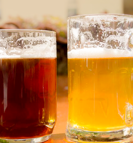 Ель vs Лагер: основні відмінності між двома видами пива