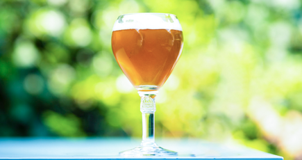 Учёные: секрет бельгийского пива — в гибридных дрожжах